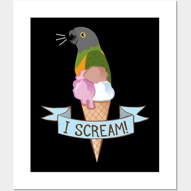 Senegal Parrot Ice Cream Wall Art by Einstein Parrot